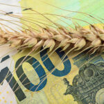 El futuro del acuerdo de cereales de Ucrania es incierto impacto en el mercado mundial-AgriGlobal-Market