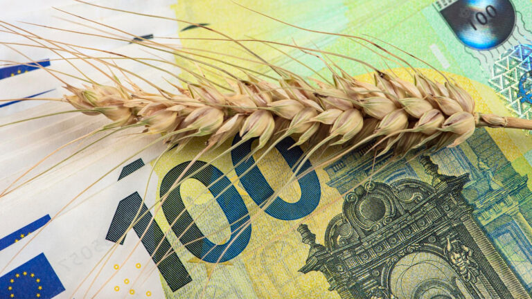 El futuro del acuerdo de cereales de Ucrania es incierto impacto en el mercado mundial-AgriGlobal-Market