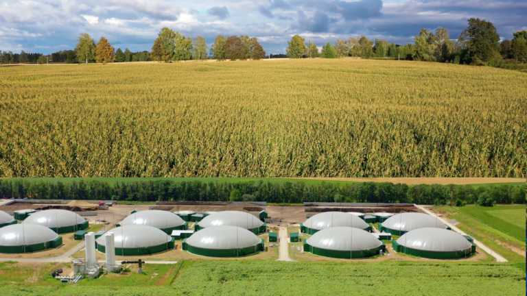 B-La-industria-alemana-de-biocombustibles-está-en-peligro,-al-igual-que-la-producción-de-piensos_AgroGlobal-Market